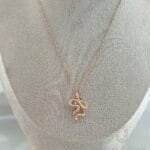 Snake with white stone