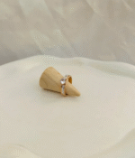 Lustra Ajustable ring